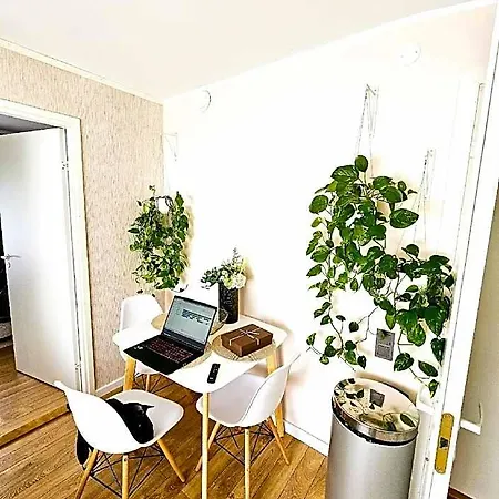 Otel Cofy Rentals, A/c, Free Parking, Online Check-in! 3*
