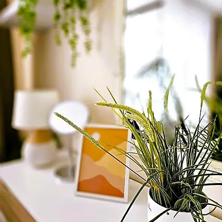 Cofy Rentals, A/c, Free Parking, Online Check-in! 3*