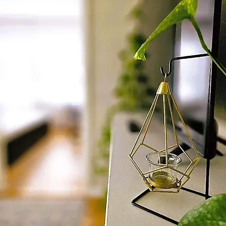 Hotel Cofy Rentals, A/c, Free Parking, Online Check-in!